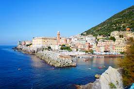 Nervi
